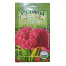 विक्टोरिया क्लॉक्सकॉम्ब फूल बीज