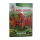 Salvia Flower Seed