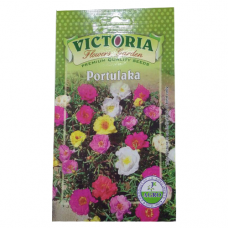 विक्टोरिया पोर्टुलका फूल बीज