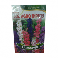 Larkspur Flower Seed
