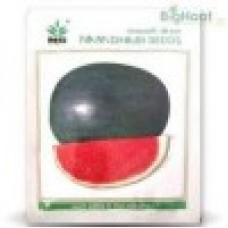 Namdhari Watermelon (Jubilee) NS 200