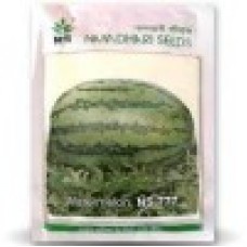 Namdhari Watermelon (Jubilee) NS 777(750) Namdhari Watermelon (Jubilee) NS 777(750)
