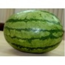 Ankur Hybrid Watermelon– Kashish (10g) vegetable seeds 