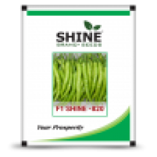 Chilli - F1 Shine - 820- 10 GRAM