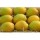 Ratnagiri Alphonso Hapus 1 Dozen 