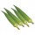 INDO-US-9 F1 HY OKRA