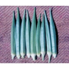 INDO-US SUNGREEN OKRA