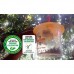 Barrix catch fruit fly lure