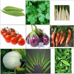 kitchen Garden Seeds