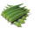 Nirmal Hybrid Okra Vegetable Seeds Kajri NOH-1684 -100 GRM