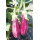 Nirmal Hybrid Bringal Vegetable Seeds NBH-1210 -10 GRM