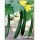 VNR Sponge Gourd Vegetable Seeds ALOK-50 GRM
