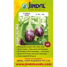  Jindal Brinjal Hybrid Seeds (baingan Seeds)-Kesar-10GM