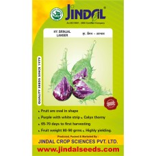  Jindal Brinjal Hybrid Seeds(baingan Seeds)-Lanser- 10GM