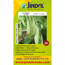 Jindal Brinjal Hybrid Seeds(baingan Seeds)-No.1467 -10GM