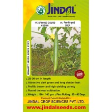 Jindal Sponge gourd  Hybrid Seeds(Spanj Laukee Seeds)-Kussum -50GM
