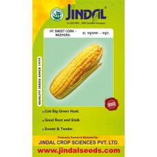Jindal Sweet Corn Hybrid Seeds(Goda Maka Seeds) Madhura -50GM