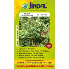 Jindal Dolichos Seeds(Wal Seeds) Kokan Bhushan -100GM