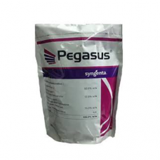 Pegasus Insecticide Syngenta
