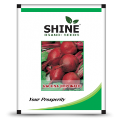  बीट रूट इम्पोर्टेड- रचना