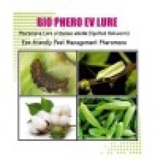 Lure for Spotted BollWorm (Earias vittella) EV Pack of 10