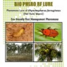Lure For Red Palm Weevil (Rhynchophorus ferrugineus)-RF Pack of 10