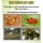 Lure For Red Palm Weevil (Rhynchophorus ferrugineus)-RF Pack of 10