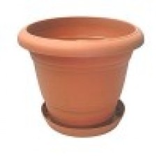 राष्ट्रीय सदाबहार टेराकोटा प्लेटर बर्तन (10 का पैक)